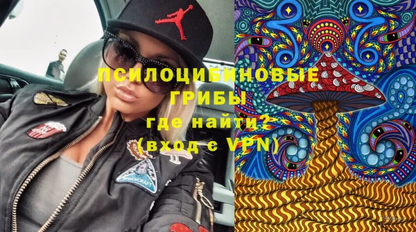 эйфоретик Алзамай