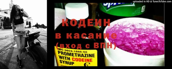 эйфоретик Алзамай