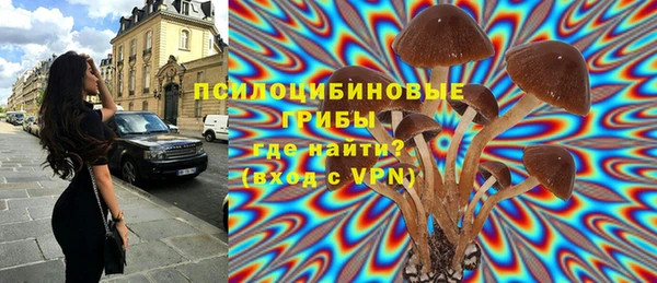 эйфоретик Алзамай