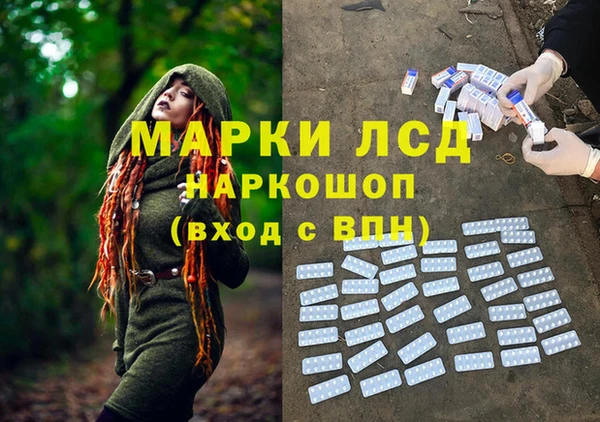 эйфоретик Алзамай